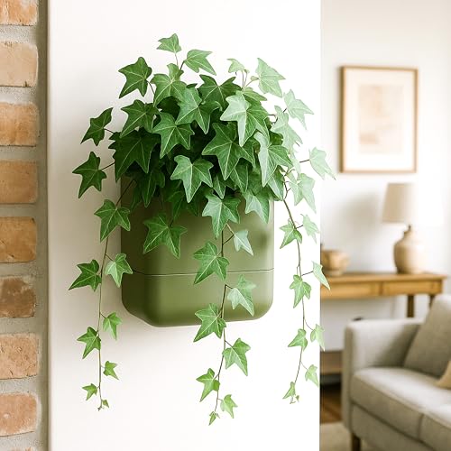 6.5 Inch Wall Mounted Self (6.5" (1 Pack) / Olive)