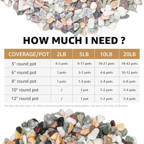 5lbs Natural Gravel Pebbles for Succulents and Cacti (Colorful / 5 Pounds)