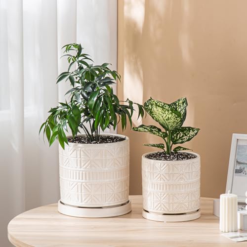 Ceramic Plant Pots Indoor (6 inch / White1)