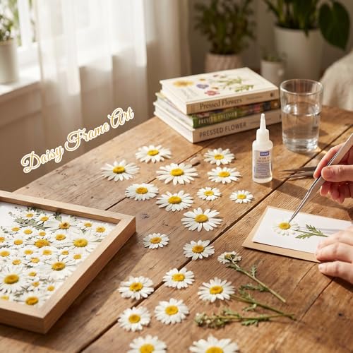48 Pcs Natural Dried Pressed Daisy Flowers for Cake Decorating (Daisy)