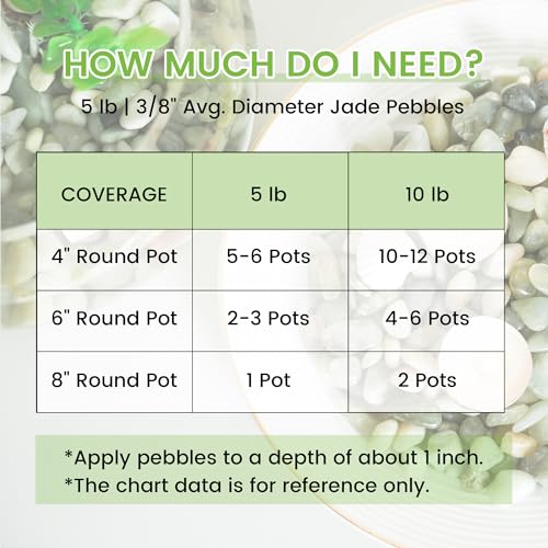 5 LB Jade Pebbles (5 Pounds / Jade)