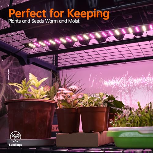 Indoor Greenhouse with Grow Light