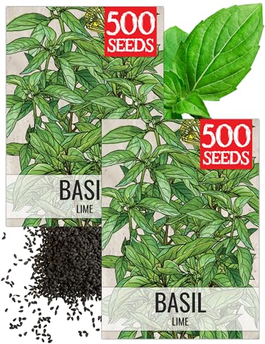 Herb Seeds to Plant Lime Basil (2 Packs)