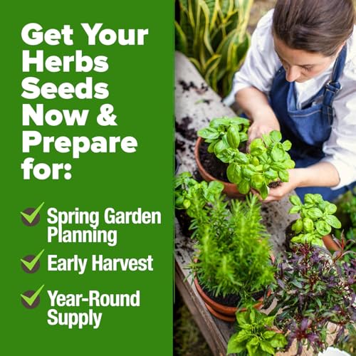 30 Herb Seeds for Planting 10