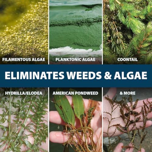 EasyKlear Pond & Lake Algae & Weed Control Herbicide (30 lbs / EasyKlear Defense)
