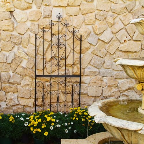 Garden Trellis for Climbing Plants 70.8" H x 25.6" W Metal Premium Quality Material Rust (70.8 inch-1 pack / Black)
