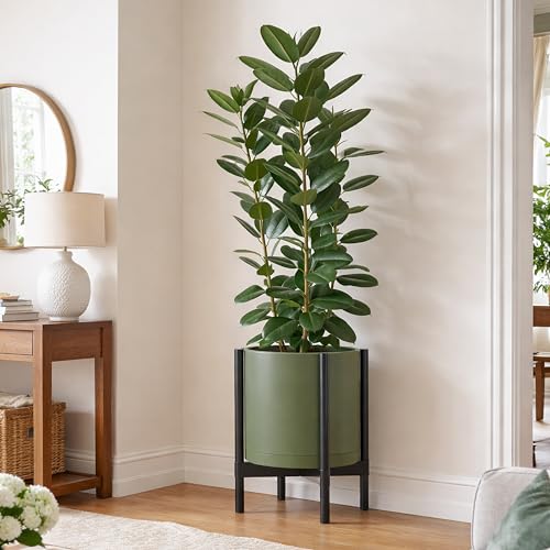 Plastic Pot with Ebony Wood Stand (Olive Pot + Ebony Stand / 14 Inch)