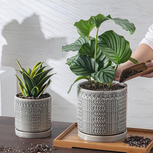 Indoor Outdoor Ceramic Plant Pots (6 inch / Gray)