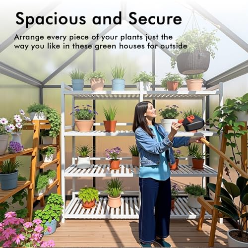 6X4FT Greenhouse with Thermometers (6×4 FT With Thermometers)