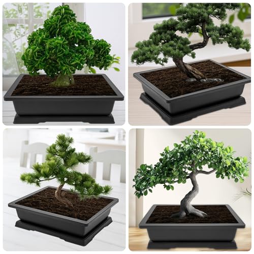 3 Packs 18 Inch Large Bonsai Training Pots with Drainage Trays (3pcs/18x14in)