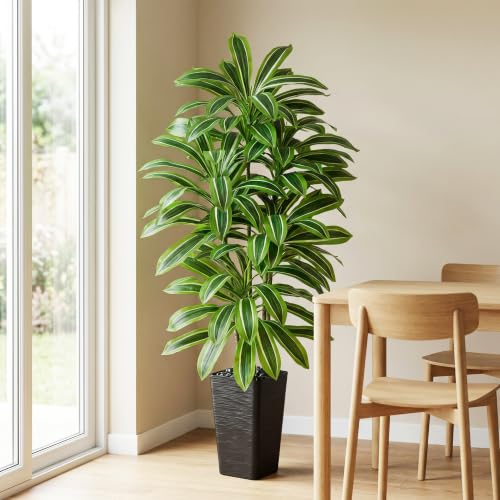 Artificial Dracaena Tree (Light Green – Black Pot / 6FT)