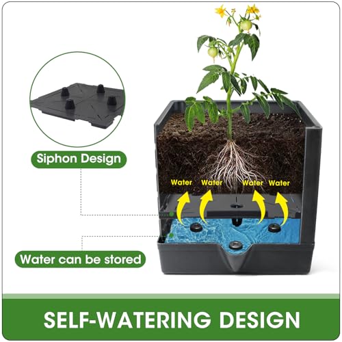 Tomato Planter Boxes with Trellis Outdoor