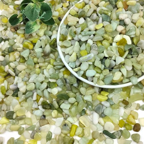 2LB Succulent Jade Pebbles for Indoor Plants