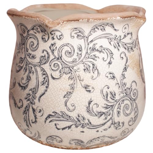 Ceramic Pots for Plants