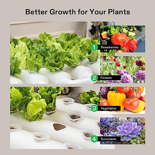 Wall Mounted Hydroponic Grow Kit