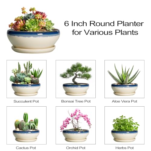 Succulent Pots 6 Inch (6 Inch / Blue-beige)
