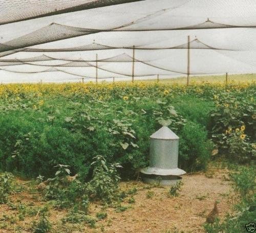 Poultry Netting 1" or 2" Mesh Heavy Knotted Nets Aviary Gamefowl Quail Chicken Bird Block Net Long Lasting Break