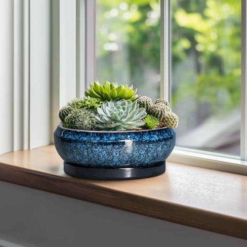 Bonsai Tree Pots 10 Inch (10 Inch / Blue)