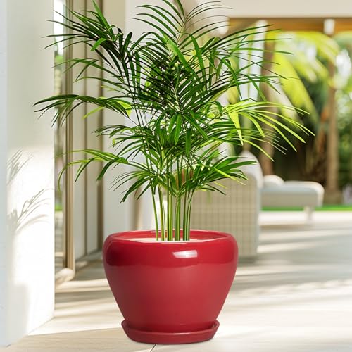 Ceramic Planter for Indoor Plants (8 Inch / Glossy Red)