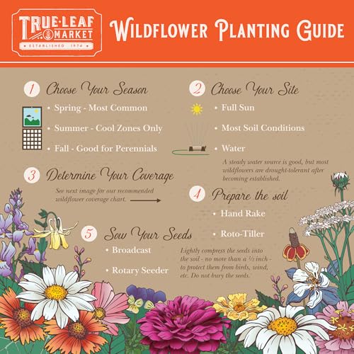 Mountain Valley Seed Co Wildflower Seed