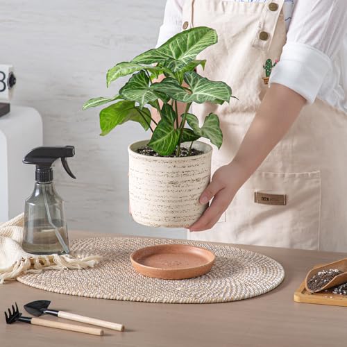 5.8 Inch Ceramic Plant Pot with Drainage Hole & Separate Saucer (Brush Color / 6 inch)