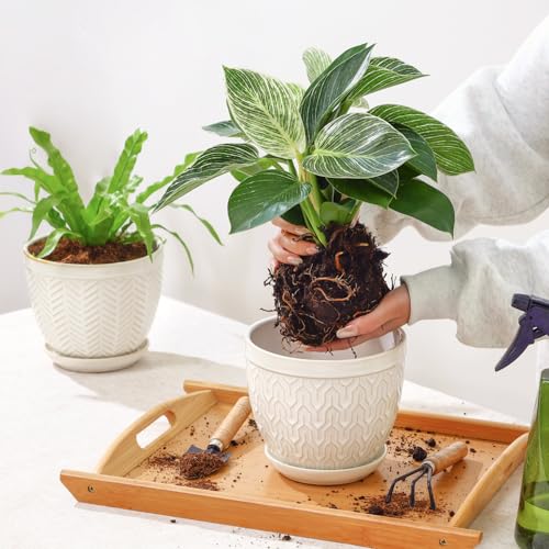 6.5 Inch Ceramic Plant Pots Set of 2 (Glazed White / 6.5 inch)