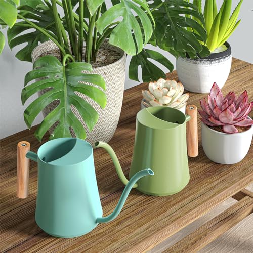 1L 35oz Metal Watering Can Indoor with Long Spout