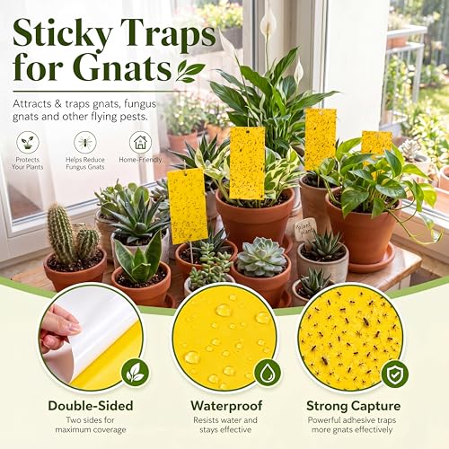 200 Pcs Yellow Sticky Traps for Gnats (2.7 x 3.9 Inch / Yellow)