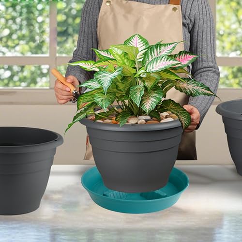 4 Pack Plant Saucer 8 inch