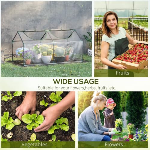 4' x 2' x 2' Portable Mini Greenhouse (Clear / 4' x 2' x 2')