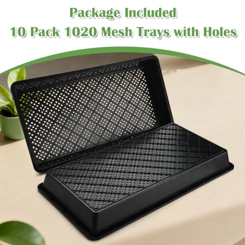 10 Pack 1020 Mesh Trays (20L x 10W x 2.3 H)