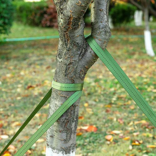 2 425 Lbs Strength Tree Straps (216FT)