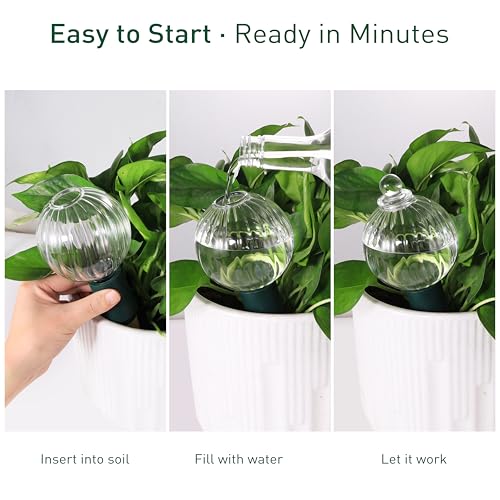 12 oz Up to 1 Week Glass Plant Watering Globe with Terracotta Spikes (12 oz – 4 Pack)