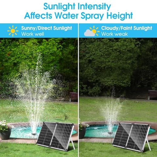 40W Solar Fountain Pump with Pond Filter (40W)