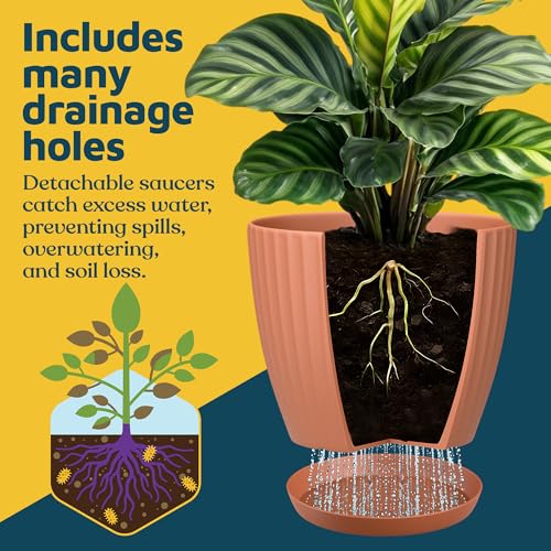 Terracotta 6 Inch Plant Pots with Drainage & Saucers 12 Pack (Terracotta / Pack of 12)