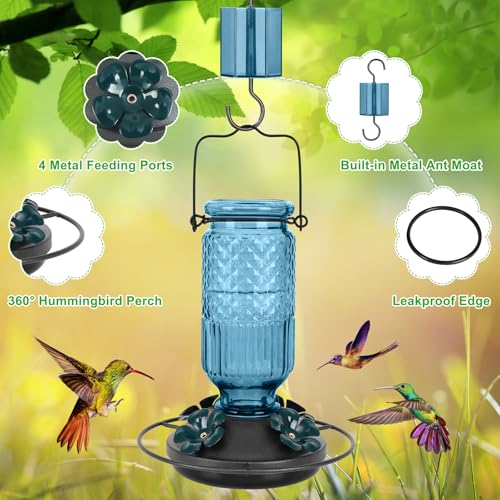 Glass Hummingbird Feeder for Outdoors Hanging (Blue)