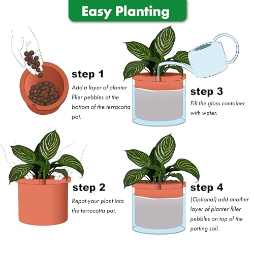 8 Inch Self Watering Planter (8" (1 Pack) / Terracotta)