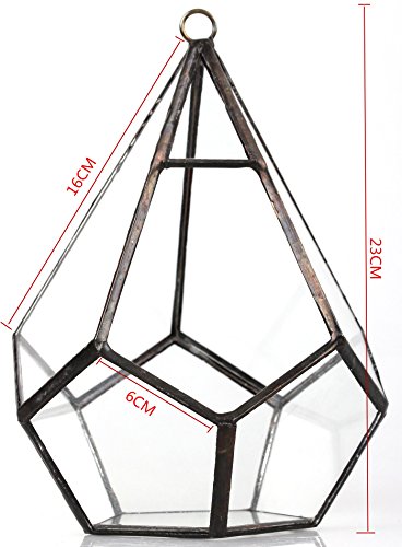 Hanging Glass Geometric Terrarium for Succulent (Black / Medium)