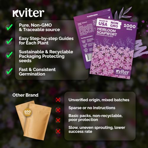 1 000 Soapwort Heirloom Flower Seeds for Planting