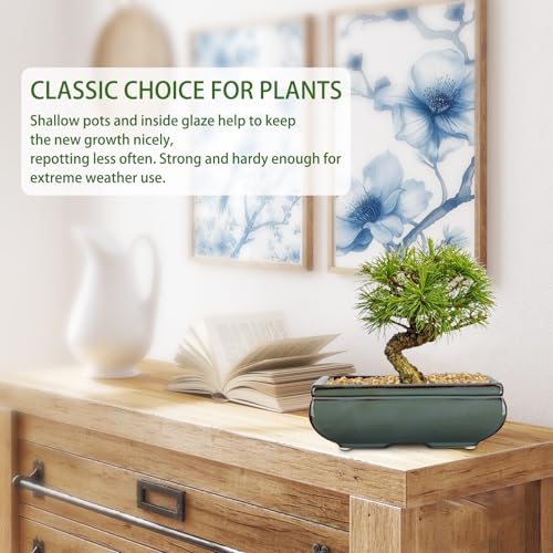 Set of 2 Large Bonsai Pots with with Drainage Hole (Green / 10"x7"x3.3"&7.4"x5.1"x2.5")