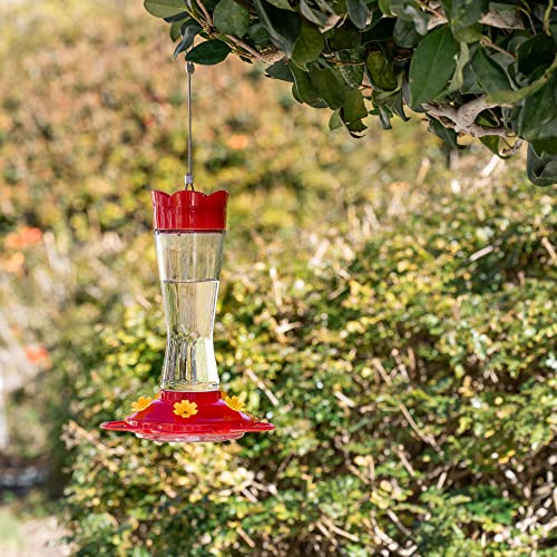 Outdoor Glass Hummingbird Feeder