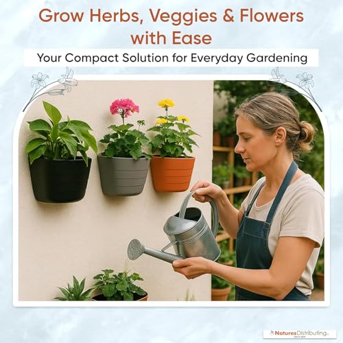 12 Inch Self Watering Wall Planter for Indoor & Outdoor Use (Terracotta / 12 inches - WITH PLUG)