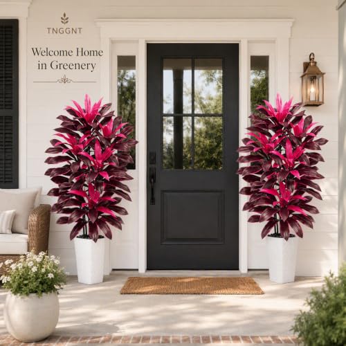 Artificial Dracaena Tree (Magenta – White Pot / 6FT)