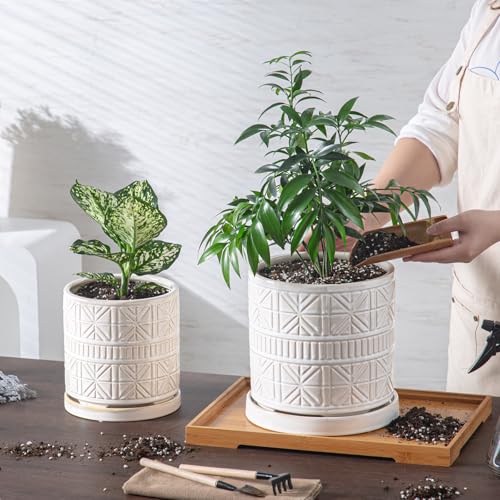 Ceramic Plant Pots Indoor (8 inch / White1)