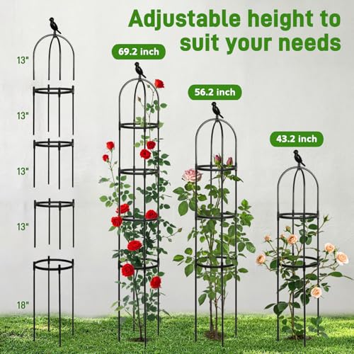 2 Pack Trellis for Climbing Planting Outdoor (BLACK / 2 PACK)