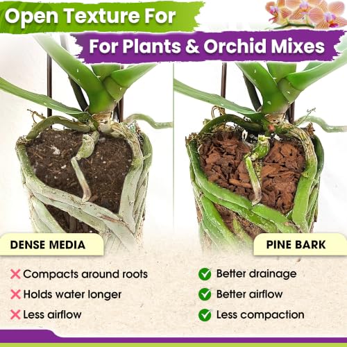 Orchid Bark for Plants (Orchid Bark 2 Quarts)