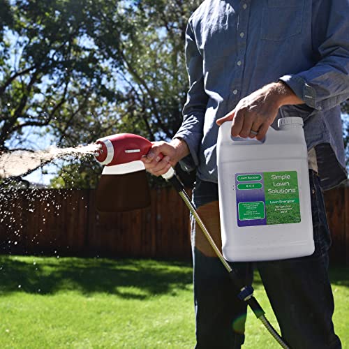 Commercial Grade Lawn Energizer (320 Fl Oz)
