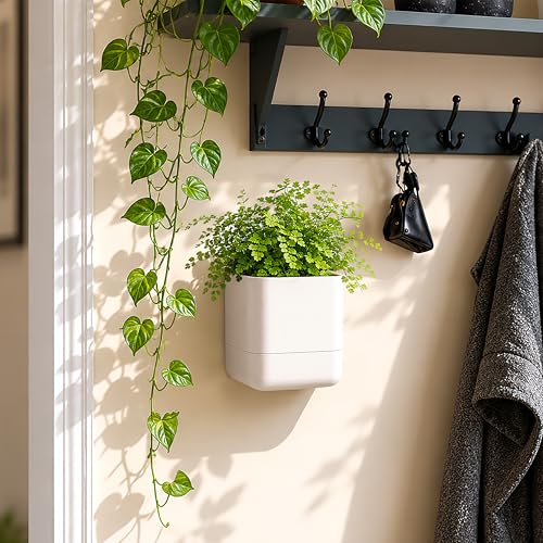4.5 Inch Wall Mounted Self (4.5" (1 Pack) / Oatmeal)