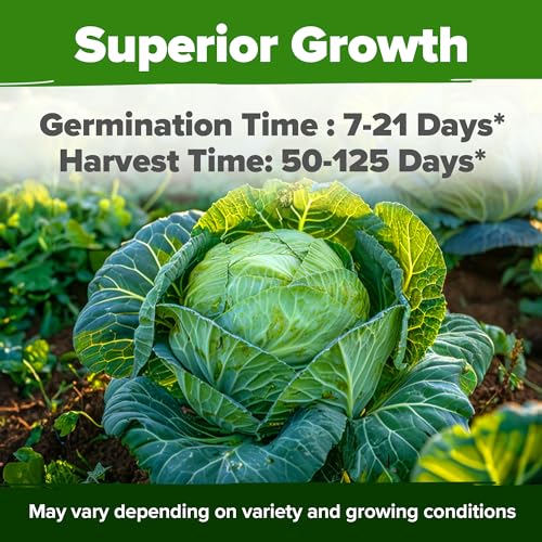 7 Cabbage Variety Mix 2000+ Vegetable Seeds