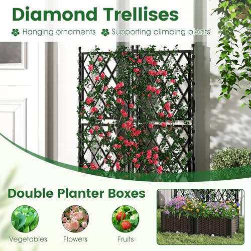 Raised Garden Bed with Trellis & Drain Holes (32" x 16" x 50")